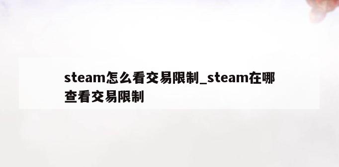 steam怎么看交易限制_steam在哪查看交易限制