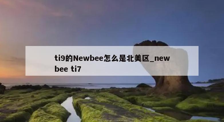 ti9的Newbee怎么是北美区_newbee ti7